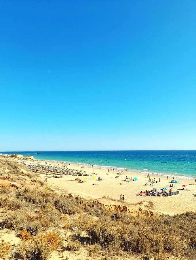 Apartament Tropicana One Bedroom Flat T1 In Albufeira Gale Close To 8 Beaches