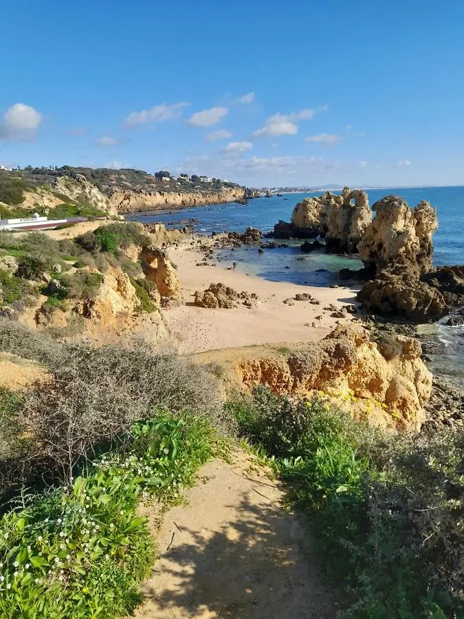 Tropicana One Bedroom Flat T1 In Albufeira Gale Close To 8 Beaches 0*,  Portugal